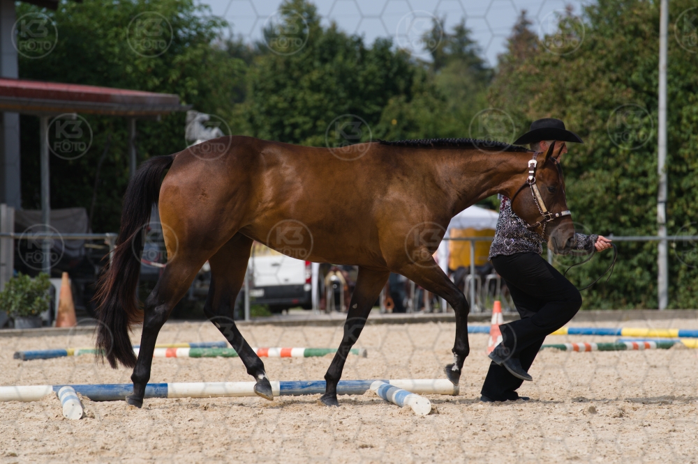 s_batch_A9_00108.jpg